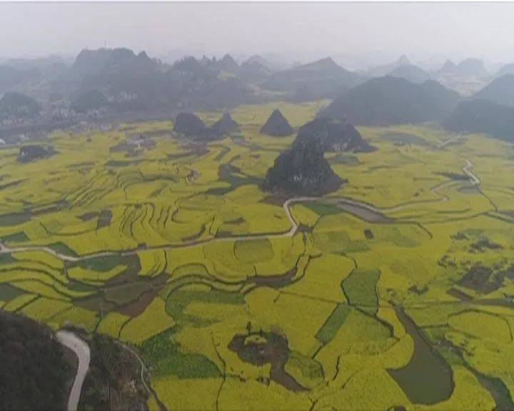 六枝特区木岗镇抵簸村:追花逐蜜的赶蜂人_油菜花