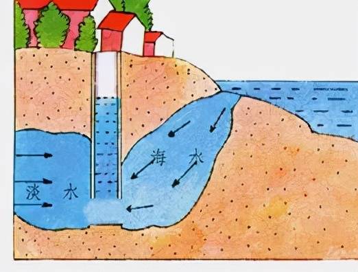 水来水掩,看清水如何抵御海水入侵?