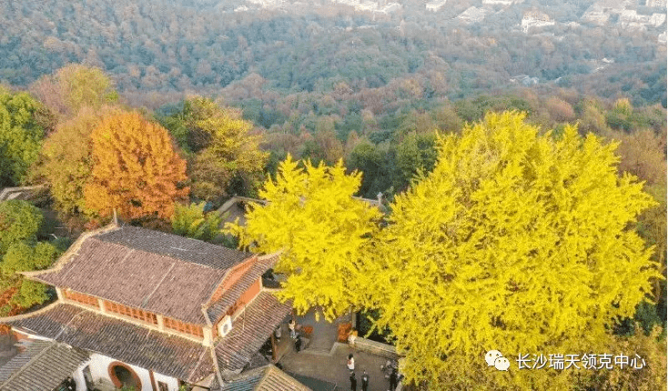 秋天的岳麓山是霜叶的海洋, 独立寒秋,湘江北去,橘子洲头.