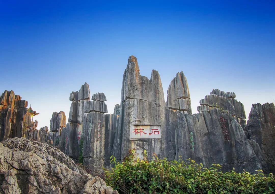 世界地质公园,国家5a旅游景区, 阿诗玛的故乡,云南昆明石林!