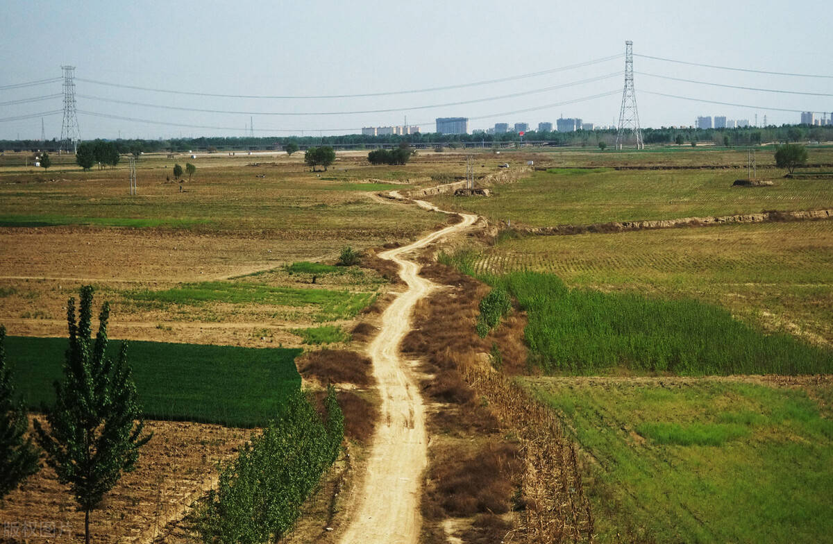 村庄变身"打卡地"天津津南区加速乡村振兴_小站镇