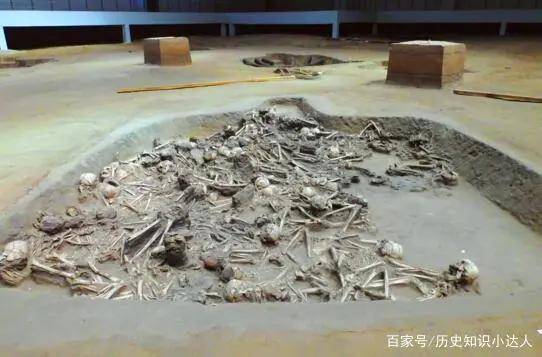通辽哈民遗址丨刨出近百人坟坑揭秘5000年前惨案真相