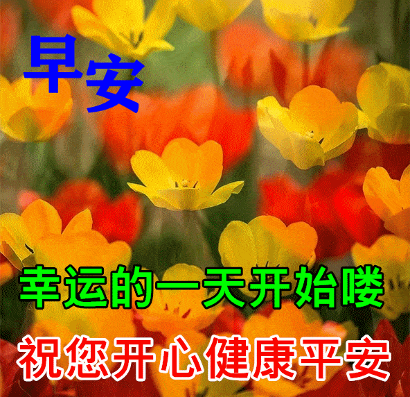原创8张最新特漂亮早上好鲜花动画图片带祝福语 2021最美早安问候祝福