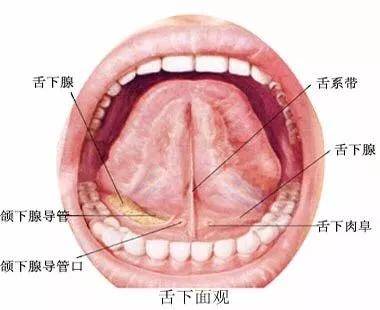 做了心脏支架的人,一定要知晓硝酸甘油的5个注意
