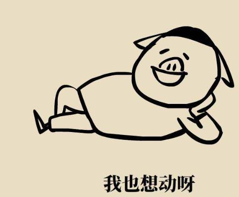 发胖最主要的四个原因,你知道吗?_减肥