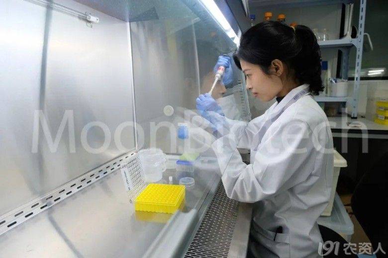 保护生物多样性,共建地球生命共同体 | 慕恩生物在行动