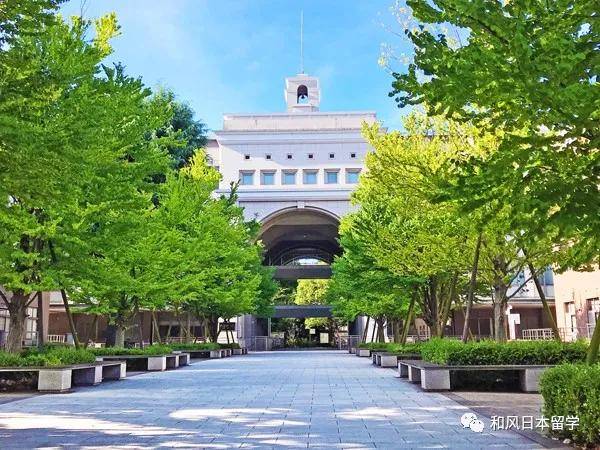 日本都道府县的大学升学率排行榜公布,哪里最强?_兵库县