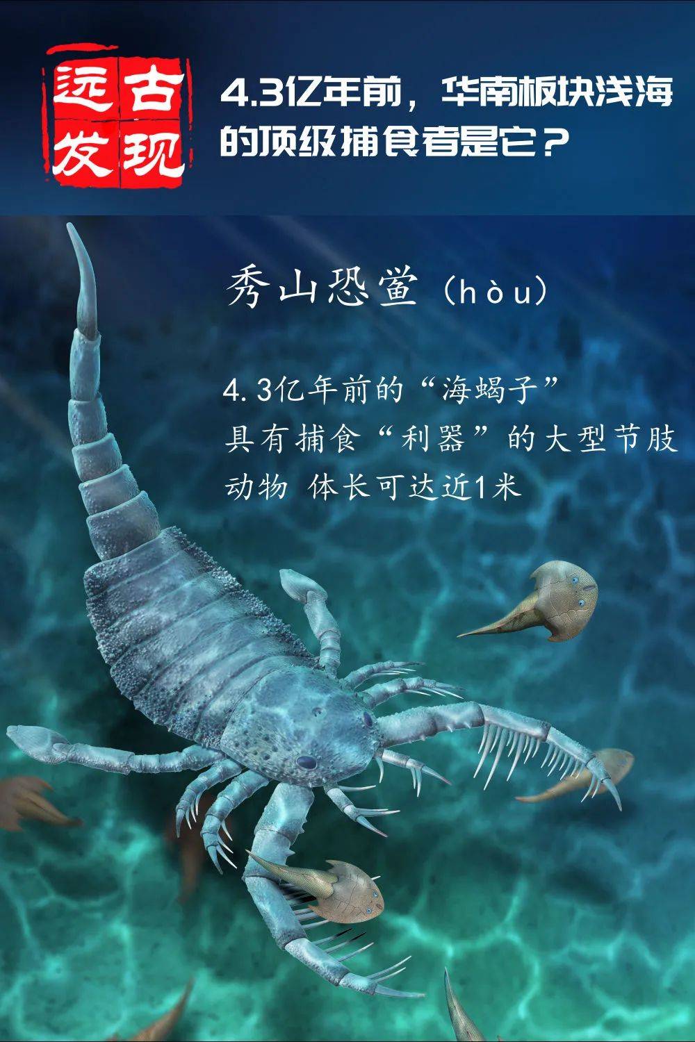 原创43亿年前浅海的顶级捕食者是它形似蝎子外形比较恐怖