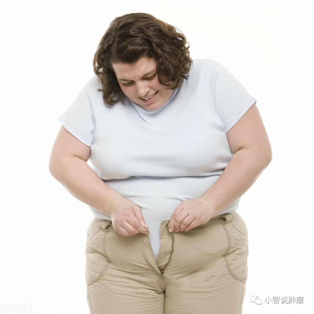 肚子越大寿命越短科学家说胖哪都不能胖肚子