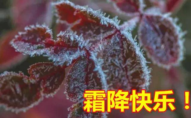 原创10月23日霜降最新早上好动态图片大全霜降祝福语句子大全