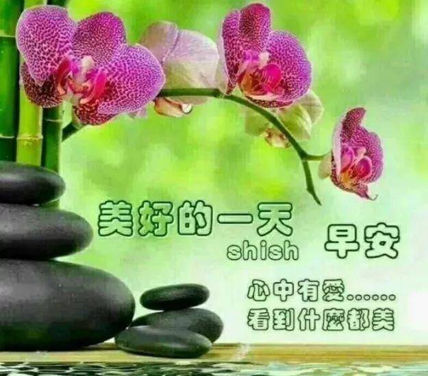 原创七月十六日最漂亮早上好图片大全动态表情群里大家早上好的图片