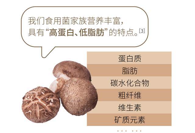 小香菇大营养山珍