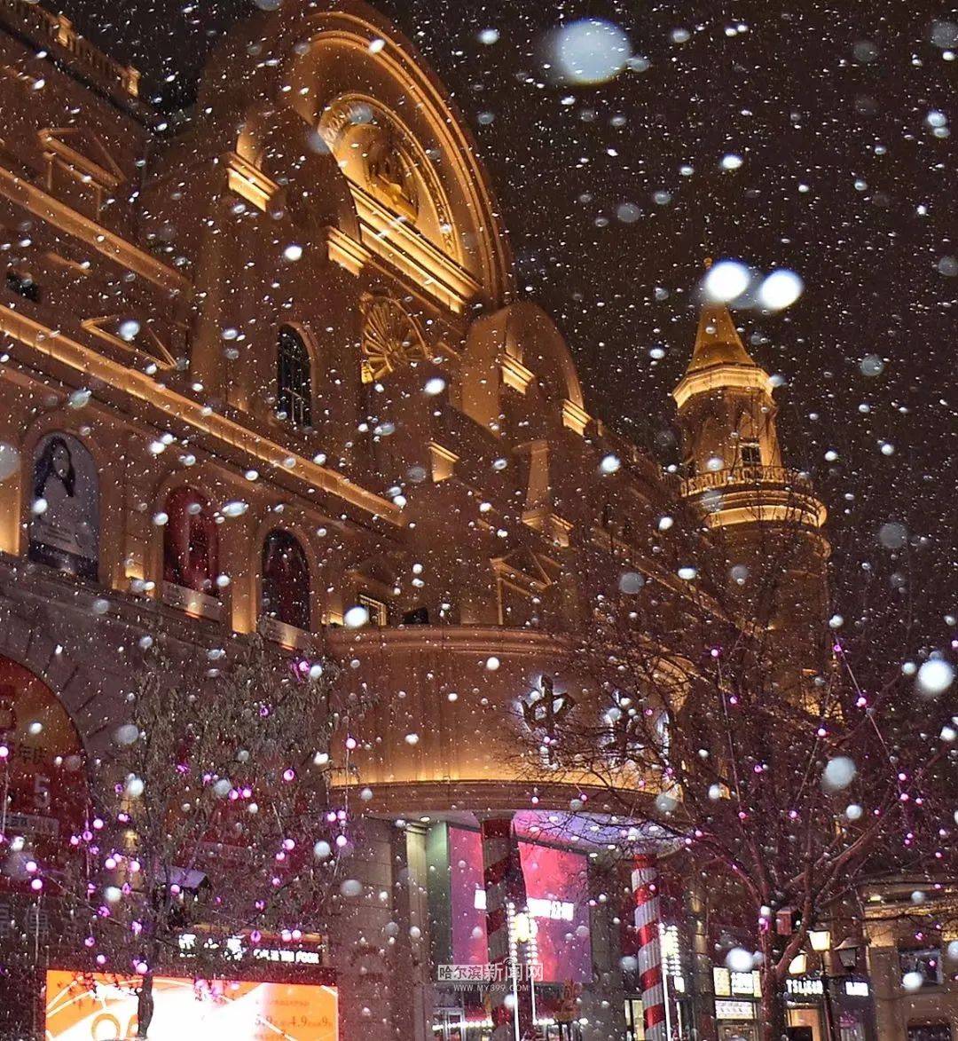 堆雪人打雪仗哈尔滨人的冬天就是这么欢乐共赏一城雪美景如约而至