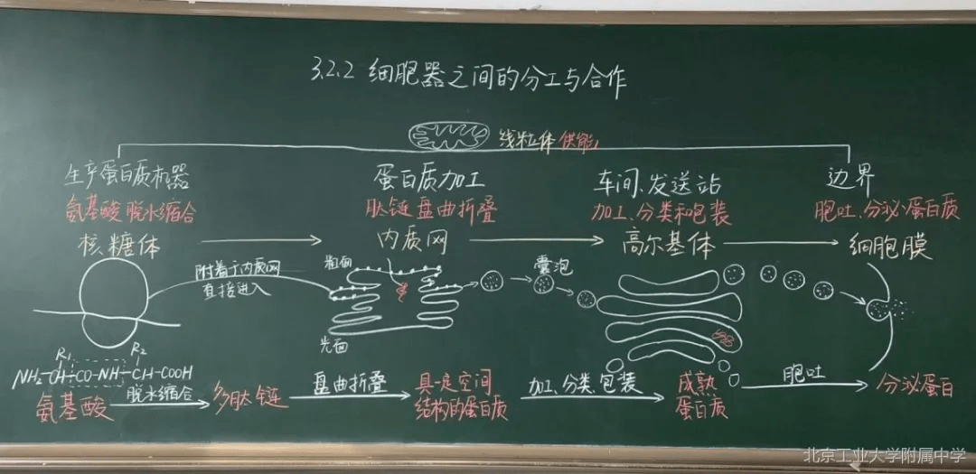 生物学科刘亚男政治学科张文靖地理学科杨晋科历史学科王伟伟三尺