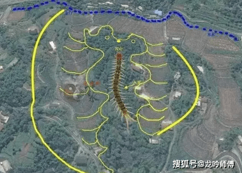 直出蜈蚣形穴地前多有珠形砂,似一个小圆金星,喝形称为"蜈蚣吐珠形"或