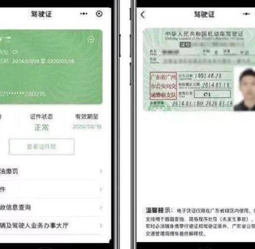 原创你还把驾照随身带吗?电子化驾驶证都出来了