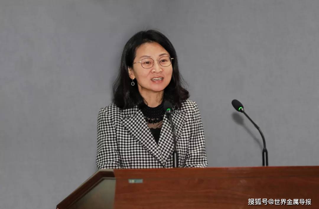 天津市津南区副区长胡永梅中国金属学会副秘书长赵晶通过视频连线,向