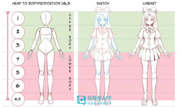 身体比例怎么画人体绘画比例基础教程