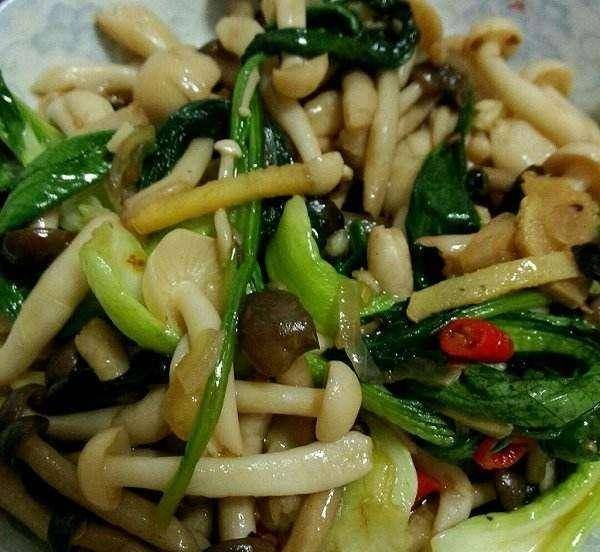 美食推荐全家福油菜炒白玉菇水煮鸡肉的做法