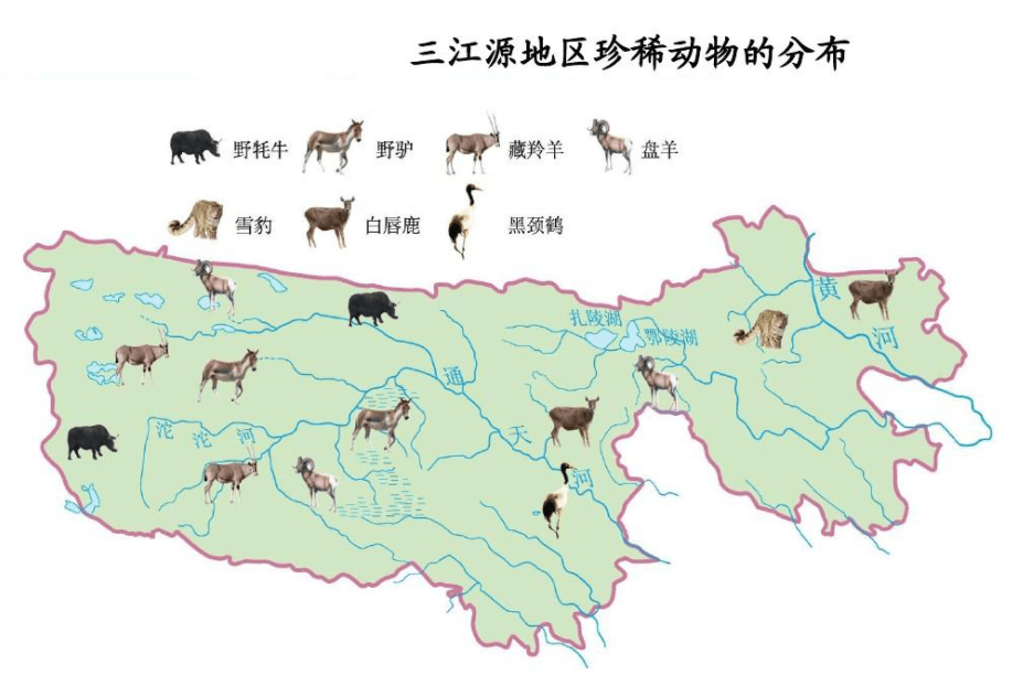 也因此出现了很多野生动植物,其中植物种群就分布有50个,野生动物有