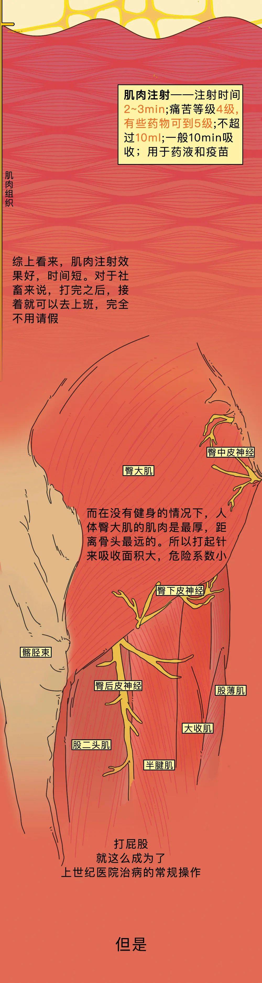 打屁股针为啥那么痛一组漫画揭秘很多父母或还不了解