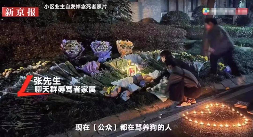 武汉女子以死抗争,聊天记录疯传背后,不应只有心寒_卢女士_主人_杨