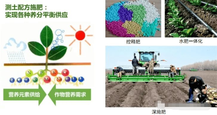 节能碳中和农业农村减排固碳十大技术模式发布67