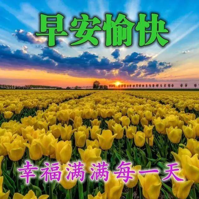 初冬清晨很漂亮的早上好动画表情图片带字,美美的早上