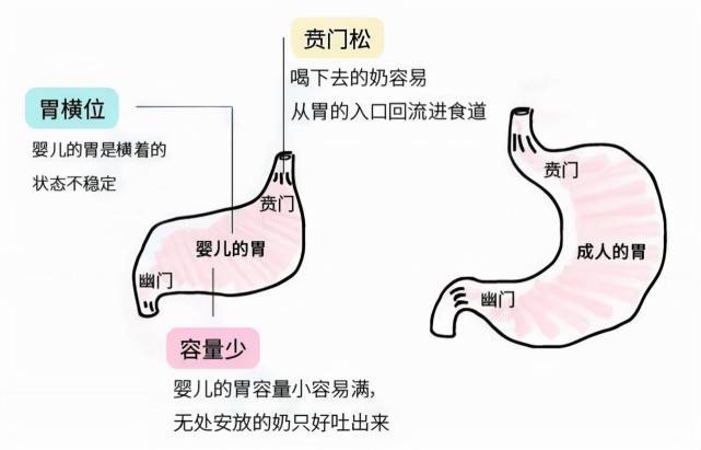 为什么小宝宝都爱吐奶？提醒：有效预防更重要,附具体方法