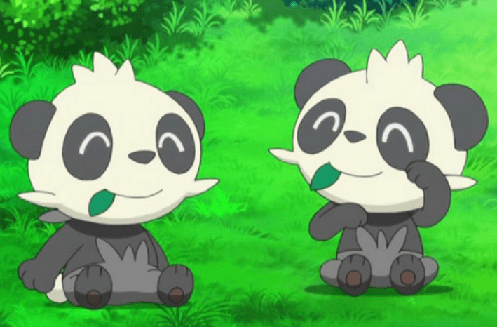 3 顽皮熊猫—流氓熊猫