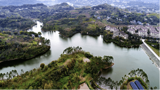 实景图(金马湖湿地公园) 来源:网络