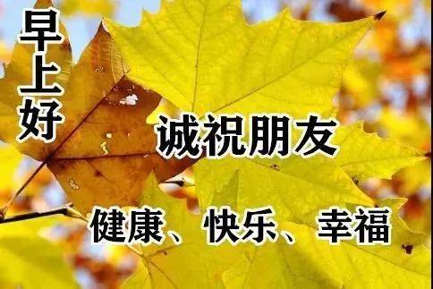 寒冬到了早上好动图表情包 天气变冷的早上好图片大全带字