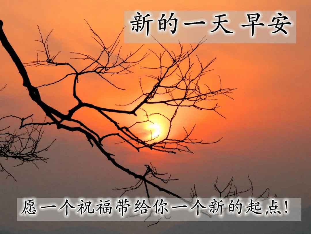 新的一天精挑细选的早晨好问候祝福图片带字,好看的早安图片带字