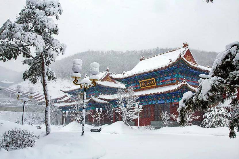 延边人今天拍啥雪景视频啦给我看看呗有一万元奖金哦