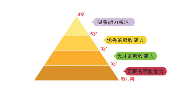 儿童的潜能培养遵循天赋递减法则,即天赋随着年龄的增大而递减,其与生