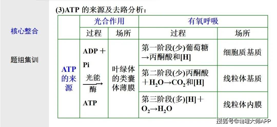 初中生物:光合作用与细胞呼吸知识点详解,快保存!_app_物理_高中