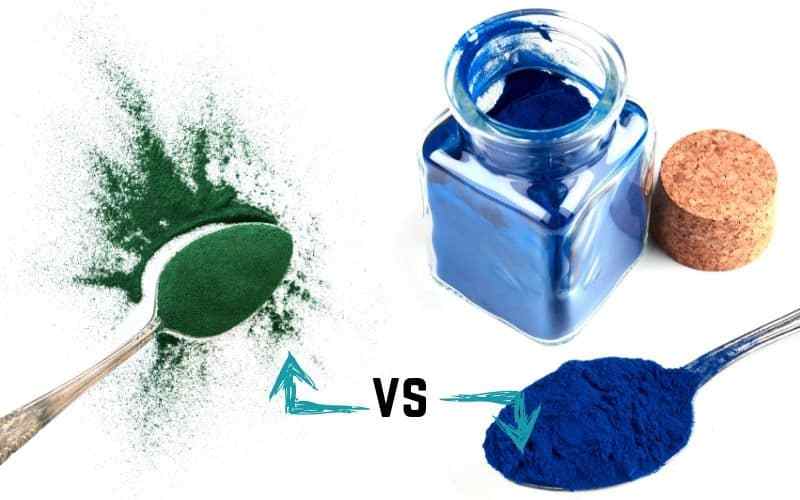 Blue green algae compaired to spiralina difference