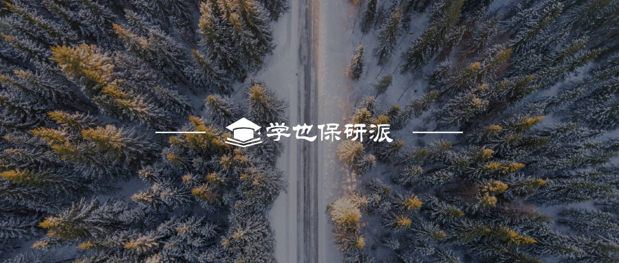 2021保研鹅专属年度报告来了589的夏令营在这个月发布