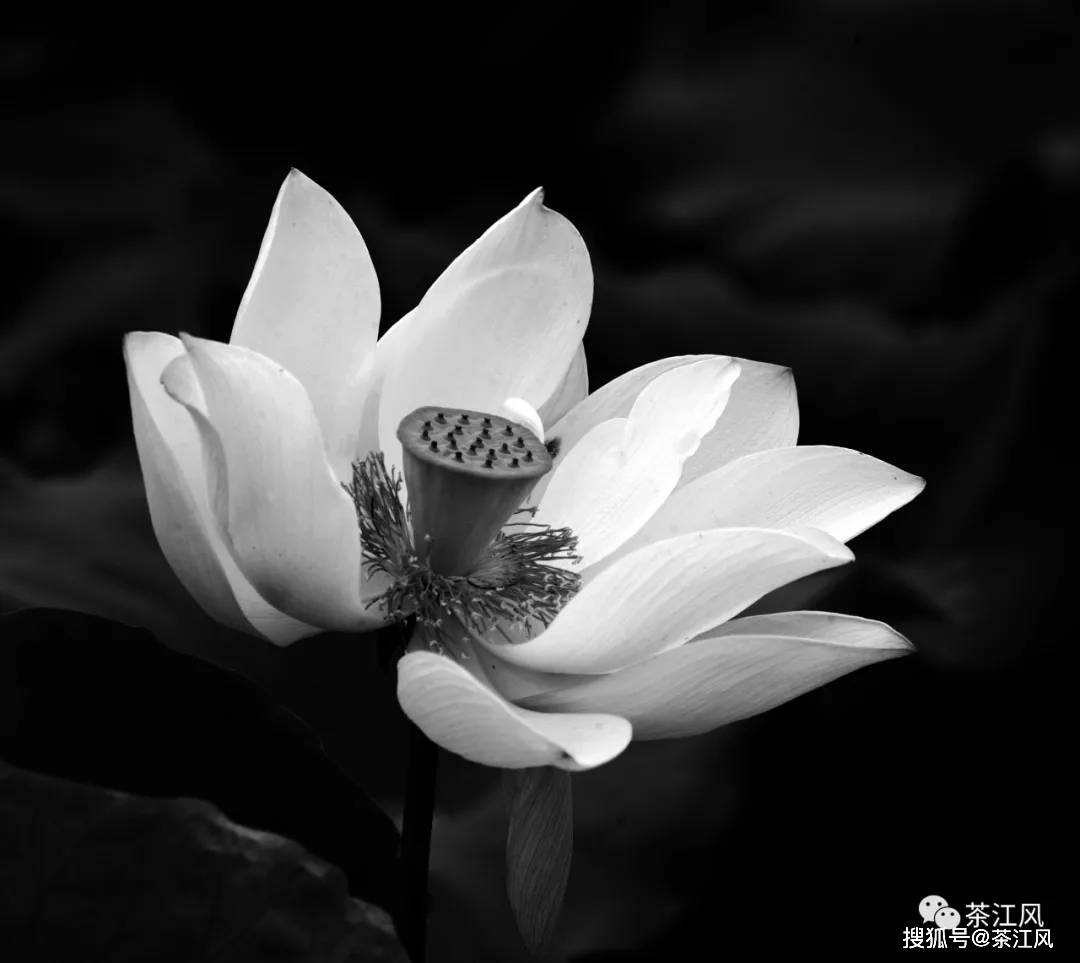 令人遗憾的一幕生命不该如此凋谢要珍爱生命抑郁症不可忽视