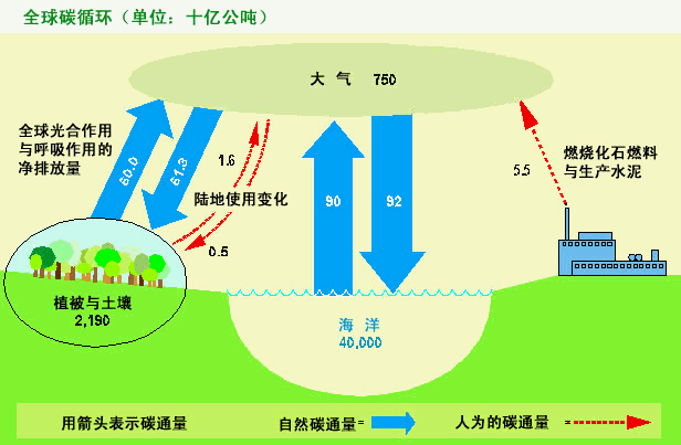 排放_全球性_海洋