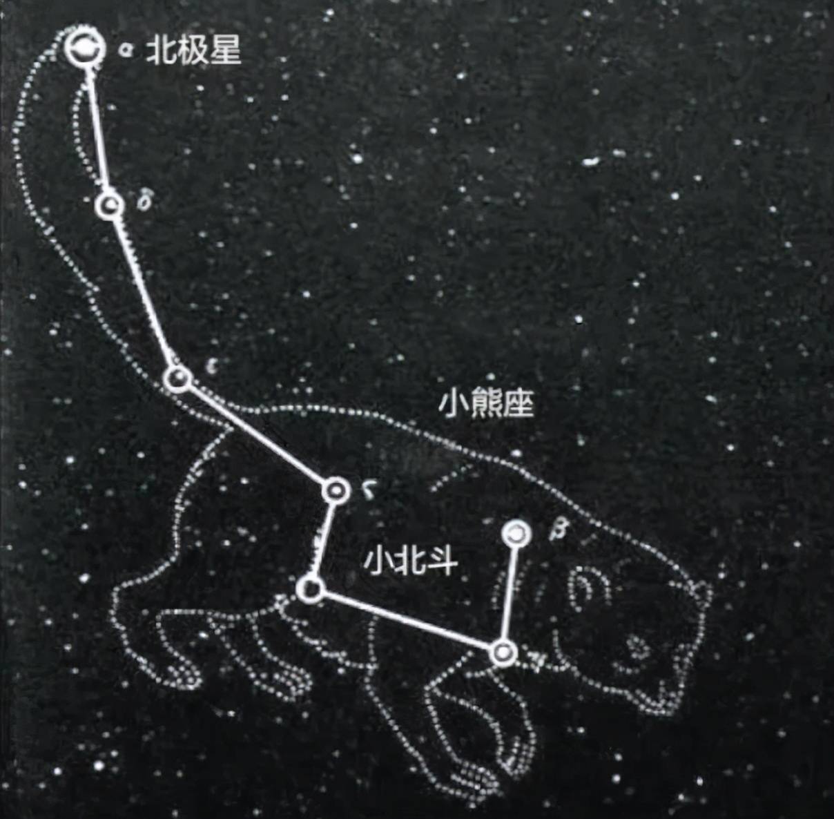 我们常说的北极星是什么恒星?距离地球多远,体型有?