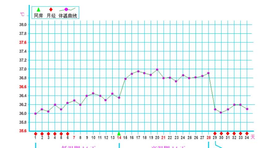 备孕中的女人,该怎么计算排卵日？学会3个方法,或许能帮你怀上