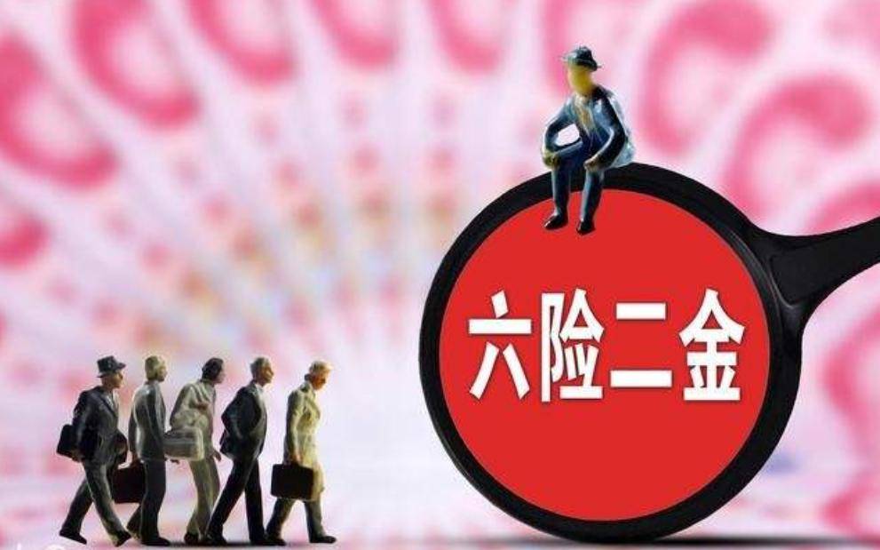 五险一金改为六险二金新增的一险一金是什么