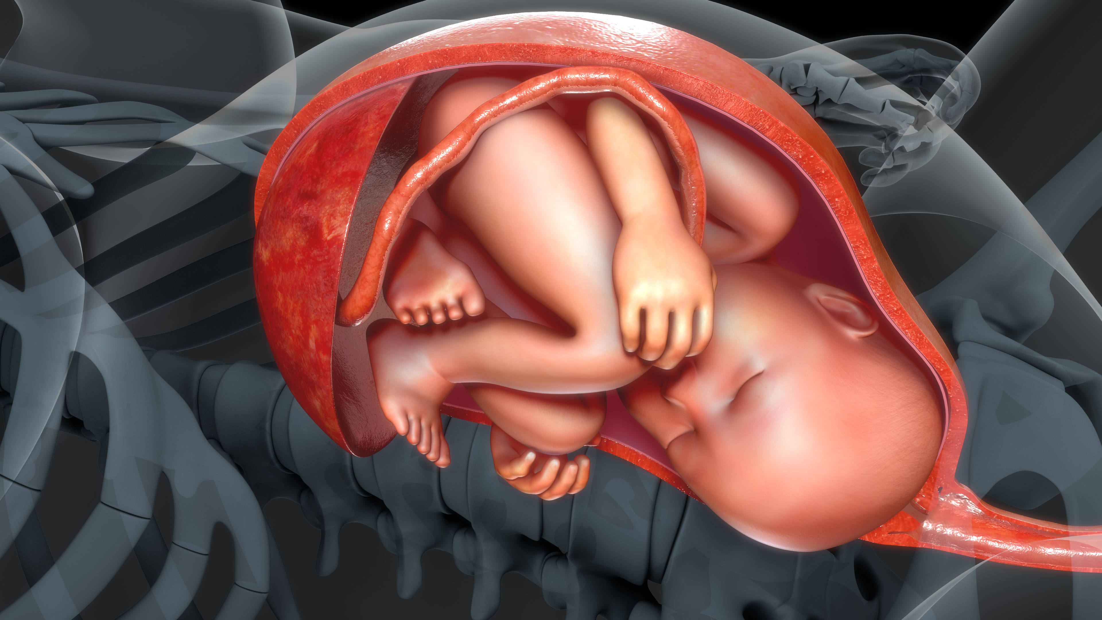 胎盘低置会不会影响胎儿发育？卧床休息能长上去吗