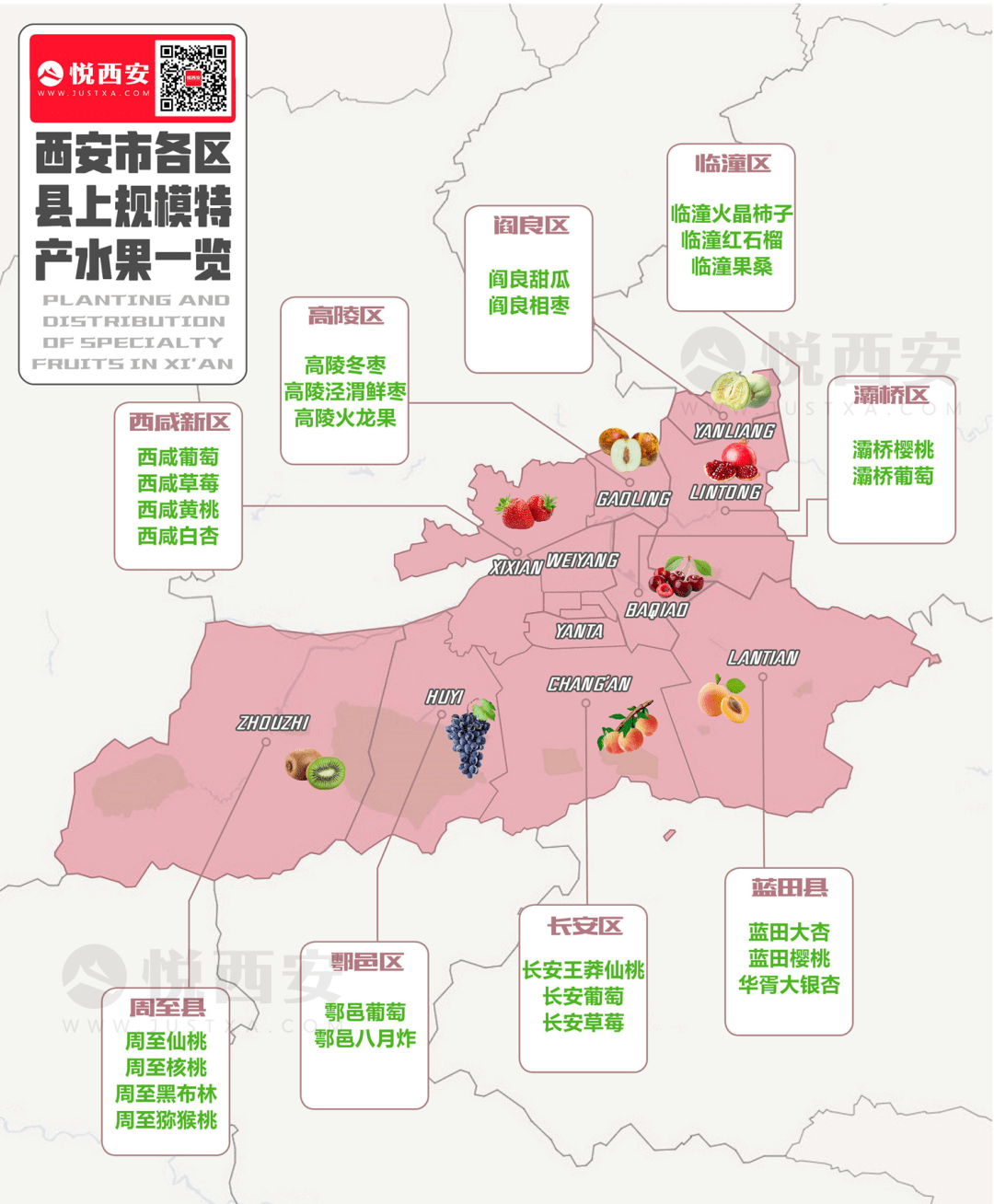 没想到吧,水果第一大省,竟然是陕西?_苹果_猕猴桃_产量