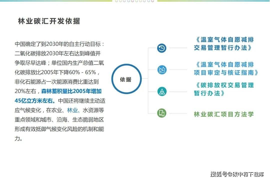 专家教你林业碳汇开发与交易值得收藏