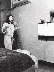 搞笑gif趣图:同样是小宝贝,你凭什么这么优秀_妹子_女友_哥们