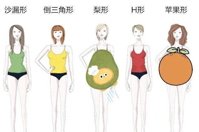 紧身下装,包臀裙②梨形—腰细腿粗忌:无腰线单品①沙漏型—胸大腰