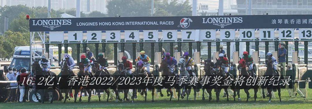 香港马会2022年马匹抽签开启成为它的会员马主到底有多难