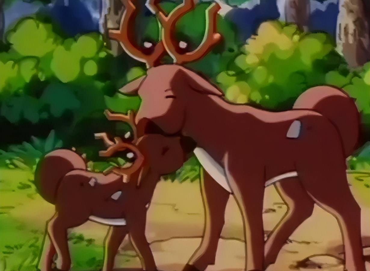 宝可梦惊角鹿为何八代有了进化那是因为它确实应该有